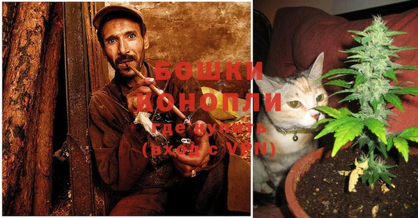 ПСИЛОЦИБИНОВЫЕ ГРИБЫ Калининец