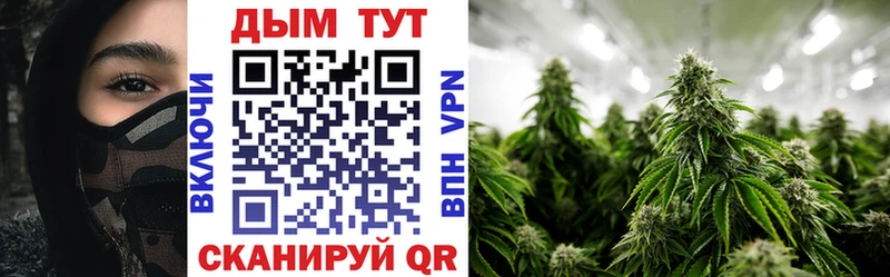 Бошки Шишки SATIVA & INDICA  Купить  Суровикино 